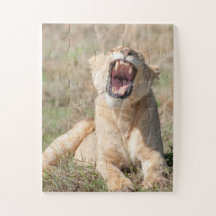 Porträt einer Lioness