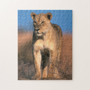 Porträt einer Löwin (Panthera Leo) Puzzle