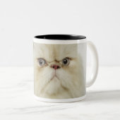 Porträt einer persischen Katze Zweifarbige Tasse (VorderseiteRechts)