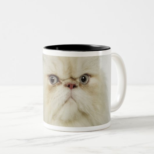 Porträt einer persischen Katze Zweifarbige Tasse (VorderseiteRechts)