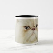 Porträt einer persischen Katze Zweifarbige Tasse (Mittel)