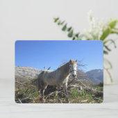 Porträt einer Pferdeflachkarte Feiertagskarte (Stehend Vorderseite)