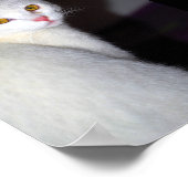 Porträt einer weißen Katze Poster (Ecke)