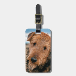Porträt eines Airedale Terriers Gepäckanhänger