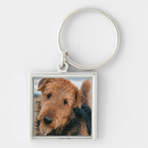 Porträt eines Airedale Terriers Schlüsselanhänger