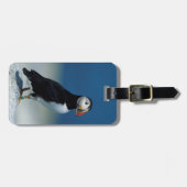 Porträt eines Atlantischen Puffs Gepäckanhänger (Vorderseite horizontal)