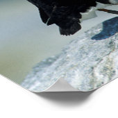 Porträt eines Atlantischen Puffs Poster (Ecke)