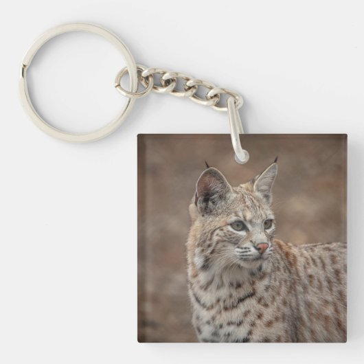 Porträt eines Bobcat Schlüsselanhänger (Vorderseite)