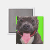 Porträt eines Bulldoggen Magnet (Vorderseite/Rückseite)