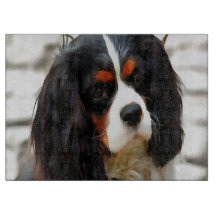 Porträt eines Cavalier King Charles Spaniels