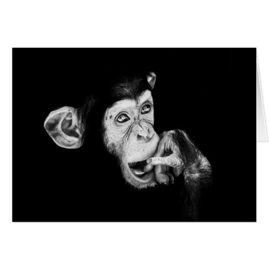 Porträt eines Denkers Schimpansen (Vorderseite (Horizontal))