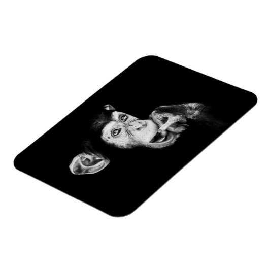 Porträt eines Denkers, Schimpansen Magnet (Linke Seite)