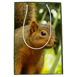 Porträt eines Eichhörnchens Natur Tierfotografie Mittlere Geschenktüte