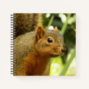 Porträt eines Eichhörnchens Natur Tierfotografie Notizblock