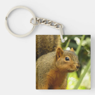 Porträt eines Eichhörnchens Natur Tierfotografie Schlüsselanhänger