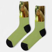 Porträt eines Eichhörnchens Natur Tierfotografie Socken (Linkes Detail)
