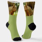 Porträt eines Eichhörnchens Natur Tierfotografie Socken (Gewinkelt)