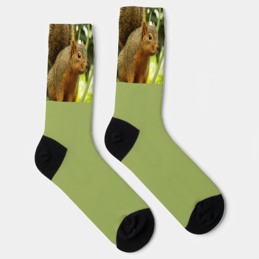 Porträt eines Eichhörnchens Natur Tierfotografie Socken (Rechts)