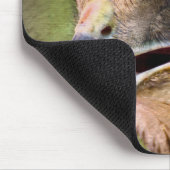 Porträt eines Falken Mousepad (Ecke)