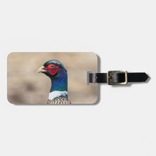 Porträt eines Fasans Gepäckanhänger (Vorderseite horizontal)