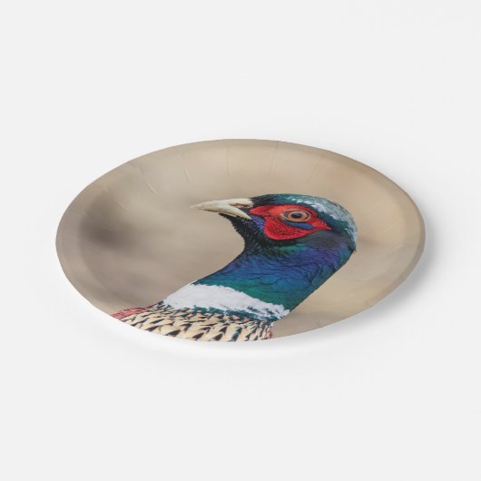 Porträt eines Fasans Pappteller (Schrägansicht)