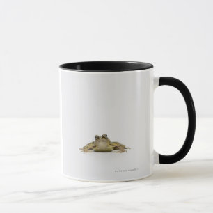 Porträt eines Frosches in einem weißen Studio Tasse