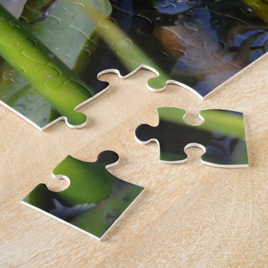 PORTRÄT EINES FROSCHES PUZZLE (Seite)