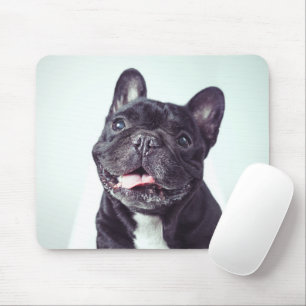 Porträt eines glücklichen französischen Bulldog Mousepad