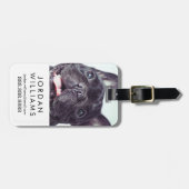 Porträt eines glücklichen französischen Bulldogist Gepäckanhänger (Vorderseite horizontal)