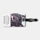 Porträt eines glücklichen französischen Bulldogist Gepäckanhänger (Rückseite horizontal)