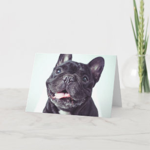 Porträt eines glücklichen französischen Bulldogist Karte