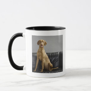 Porträt eines Hundes Tasse