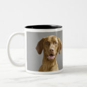 Porträt eines Hundes Zweifarbige Tasse (Links)
