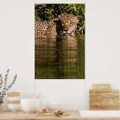 Porträt eines Jaguar-Schwimmens Poster (Küche)