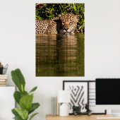 Porträt eines Jaguar-Schwimmens Poster (Heimbüro)