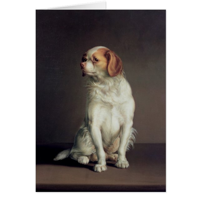 Porträt eines Königcharles Spaniel (Vorne)