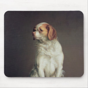 Porträt eines Königcharles Spaniel Mousepad