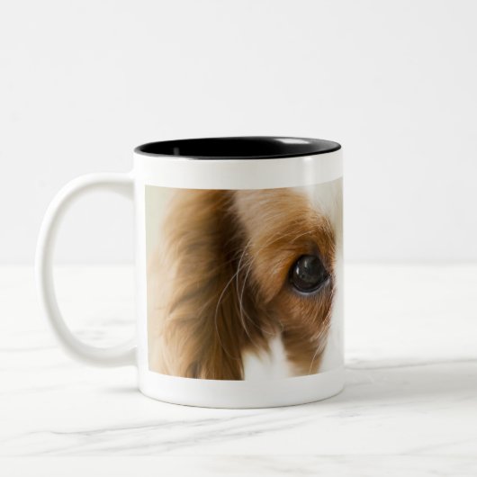 Porträt eines Königcharles Spanielwelpen Zweifarbige Tasse (Links)