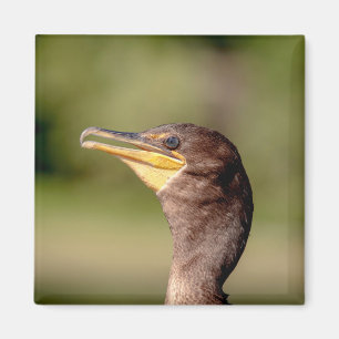 Porträt eines Kormorans Magnet