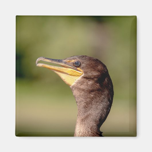 Porträt eines Kormorans Magnet (Vorne)