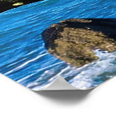 Porträt eines Kormorans Poster (Ecke)