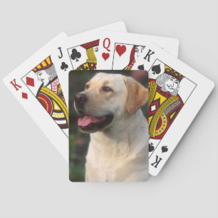 Porträt eines Labrador Retrievers, Hilton Spielkarten