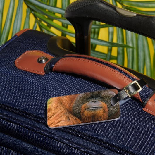 Porträt eines männlichen Orang-Utans, Georgia, USA Gepäckanhänger (Vorderseite Insitu 3)