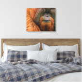 Porträt eines männlichen Orang-Utans, Georgia, USA Leinwanddruck (Insitu (Schlafzimmer))
