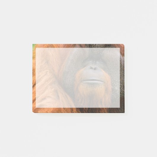 Porträt eines männlichen Orang-Utans, Georgia, USA Post-it Klebezettel (Vorderseite)