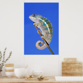 Porträt eines männlichen Panther-Chamäleons Poster (Küche)