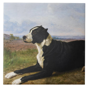 Porträt eines Mastiff-Labrador-Hundes (Rosa Bonheu Fliese