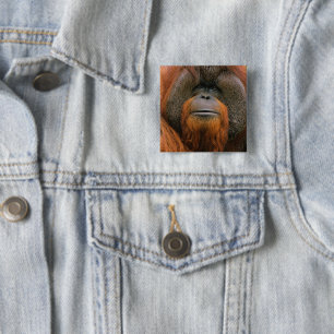 Porträt eines Orang-Utan-Männchens, Georgia, USA Button
