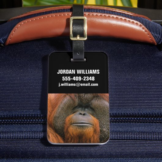 Porträt eines Orang-Utan-Männchens, Georgia, USA Gepäckanhänger (Vorderseite Insitu 2)