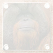 Porträt eines Orang-Utan-Männchens, Georgia, USA Glasuntersetzer (Rückseite)